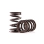 Internal combustion engine valve spring (valve spring)